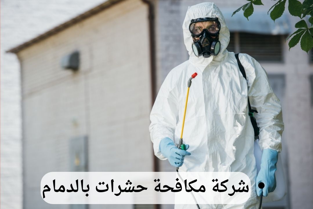 شركة مكافحة حشرات بالدمام