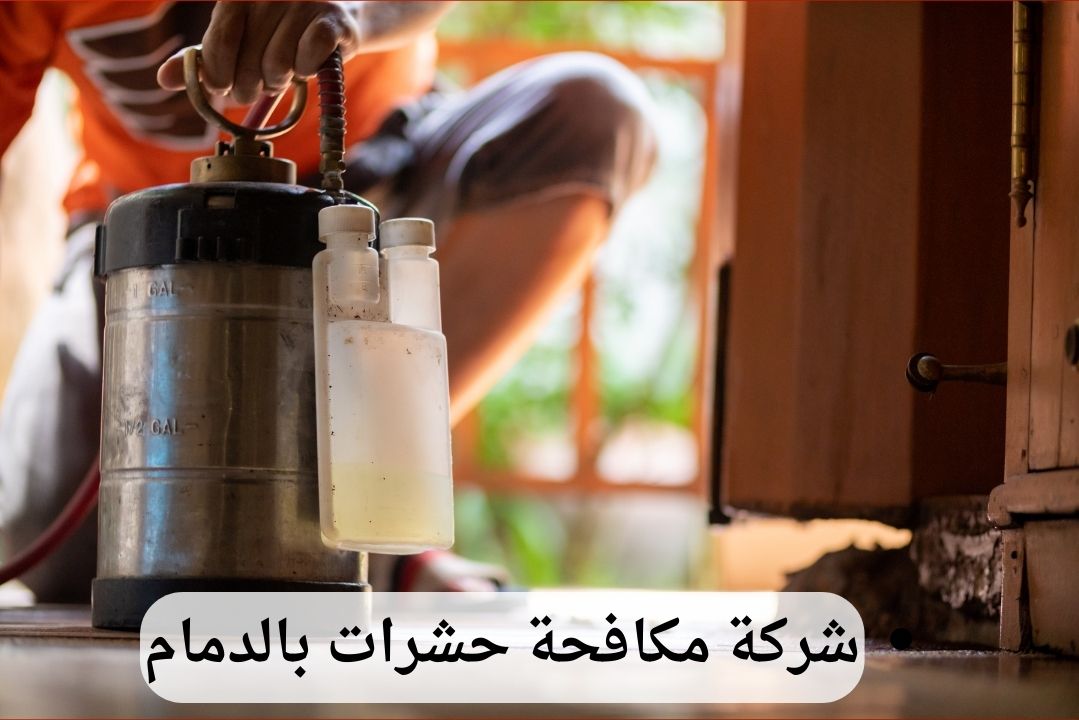 شركة مكافحة حشرات بالدمام