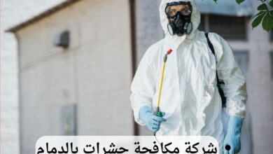 شركة مكافحة حشرات بالدمام