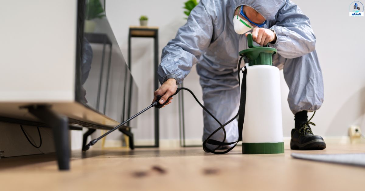 شركة مكافحة حشرات بالدمام